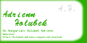 adrienn holubek business card